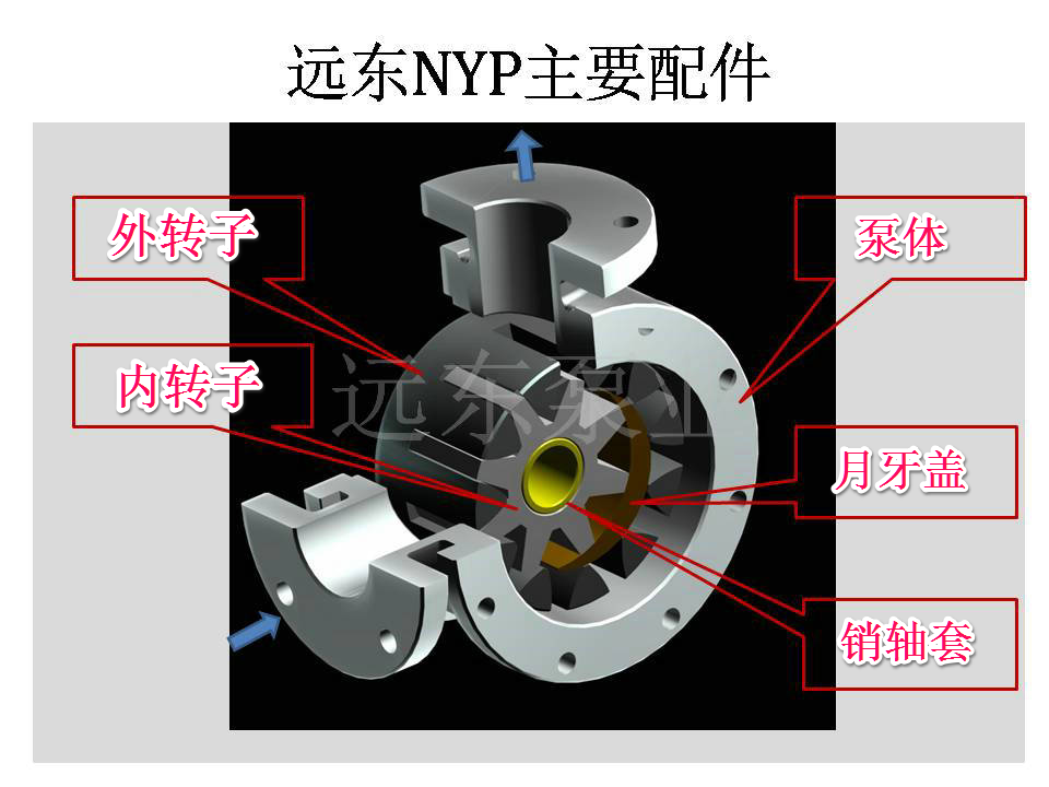 不銹鋼高粘度轉子泵機構圖